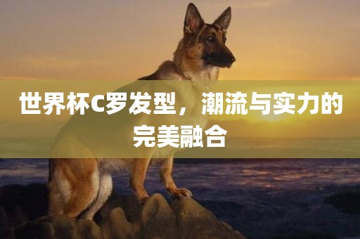 世界杯C罗发型，潮流与实力的完美融合金炬实业股份有限公司