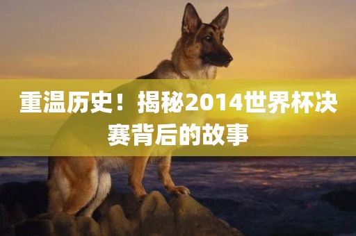 重温历史！揭秘2014世界杯金炬实业股份有限公司决赛背后的故事