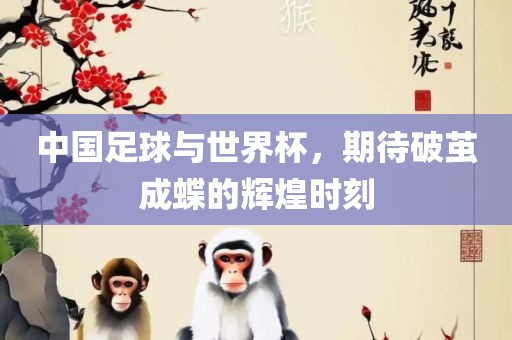 中国足球与世界杯，期待破茧成蝶的辉煌时刻