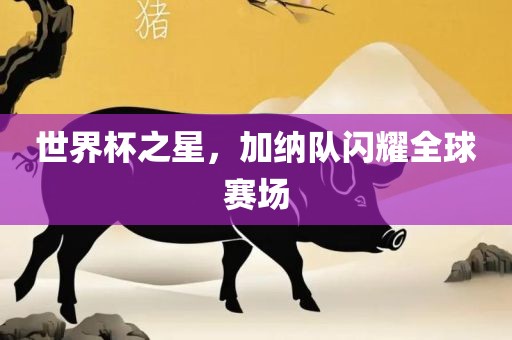 世界杯之星，加纳队闪耀全球赛场