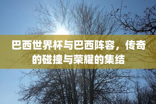 巴西世界杯与巴西阵容，传奇的碰撞与荣耀的集结