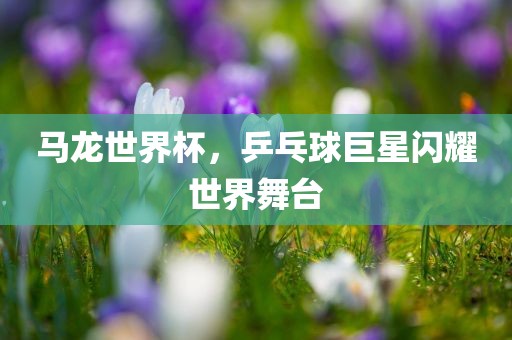 马龙世界杯，乒乓球巨星闪耀世界舞台金炬实业股份有限公司
