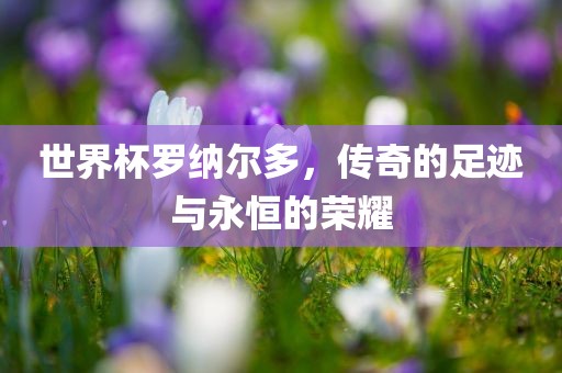 世界杯罗纳尔多，传奇的足迹与永恒的荣耀金炬实业股份有限公司