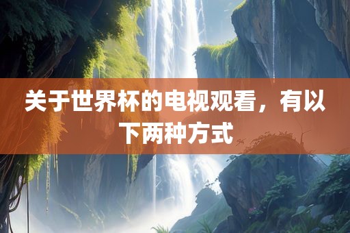 关于世界杯的电视观看，有以下两种方式