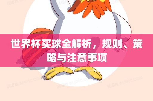 世界杯买球全解析，规则、策略与注意事项