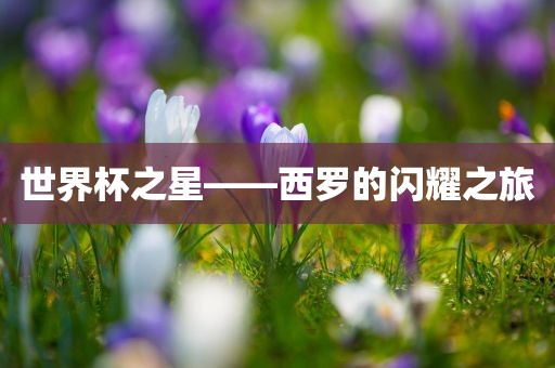 世界杯之星——西罗的闪耀之旅