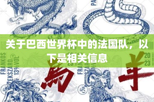 关于巴西世界杯中的法国队，以下是相关信息金炬实业股份有限公司
