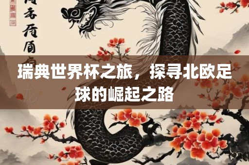 瑞典世界杯之旅，探寻北欧足球的崛起之路金炬实业股份有限公司
