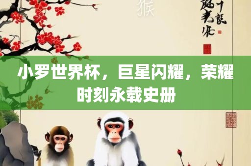 小罗世界杯，金炬实业股份有限公司巨星闪耀，荣耀时刻永载史册