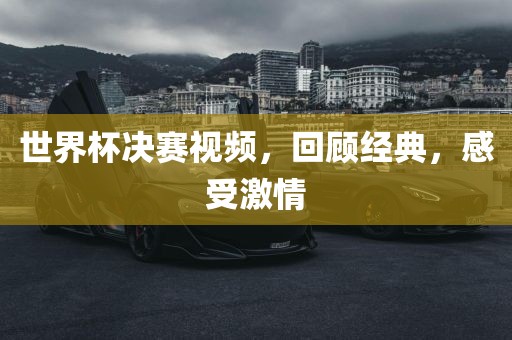 世界杯决赛视频，回顾经典，感受激情