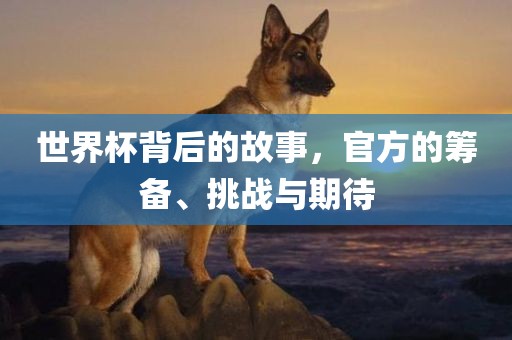 世界杯背后的故事，官方的筹备、挑战与期待