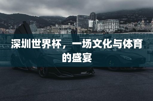 深圳世界杯，一场文化与体育的盛宴