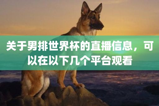 关于男排世界杯的直播信息，可以在以下几个平台观看