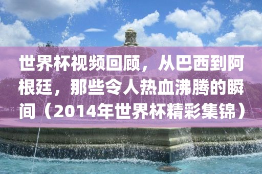 世界杯视频回顾，从巴西到阿根廷，那些令人热血沸腾的瞬间（2014年世界杯精彩集锦）金炬实业股份有限公司