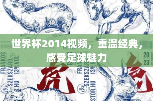 世界杯2014视频，重温经典，感受足球魅力