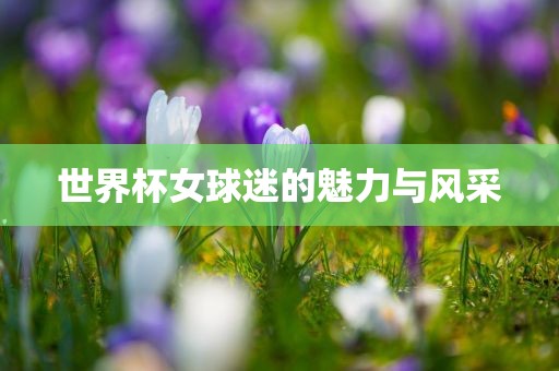 世界杯女球迷的魅力与风采金炬实业股份有限公司