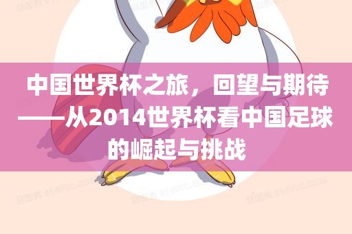 中国世界杯之旅，回望与期待——从2014世界杯看中国足球的崛起与挑战金炬实业股份有限公司