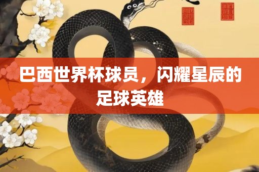 巴西世界杯球员，闪耀星辰的足球英雄金炬实业股份有限公司