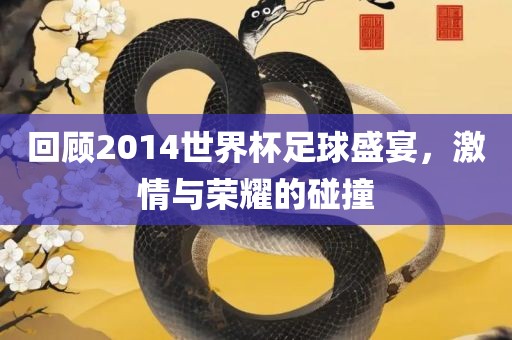 回顾2014世界杯足球盛宴，激情与荣耀的碰撞