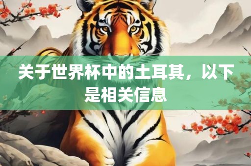 关于世界杯中的土耳其，以下是相关信息金炬实业股份有限公司