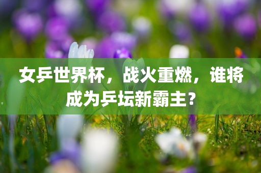 nieruihai 第13页