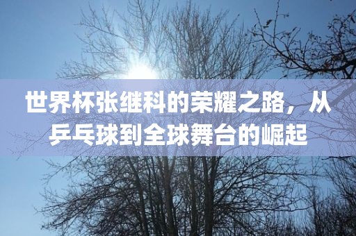 世界杯张继科的荣耀之路，从乒乓球到全球舞台的崛起金炬实业股份有限公司