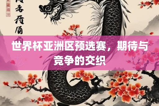 世界杯亚洲区预选赛，期待与竞争的交织