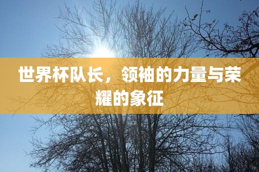 世界杯队长，领袖的力量与荣耀金炬实业股份有限公司的象征