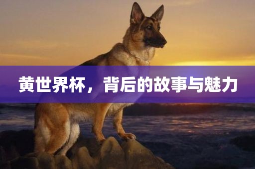 黄世界杯，背后的故事与魅力