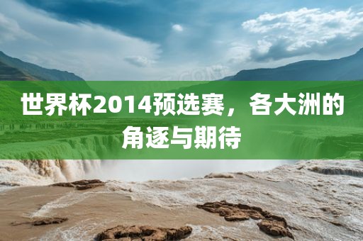 世界杯20金炬实业股份有限公司14预选赛，各大洲的角逐与期待