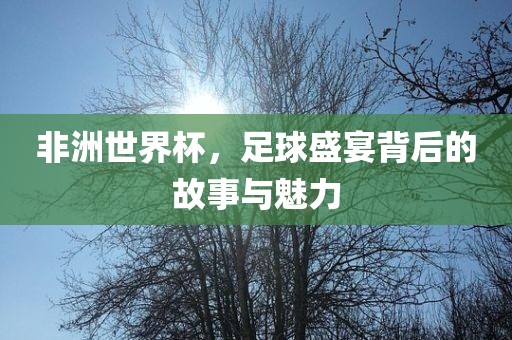 非洲世界杯，足球盛金炬实业股份有限公司宴背后的故事与魅力