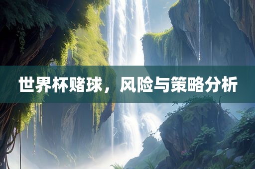 世界杯赌球，风险与策略分析