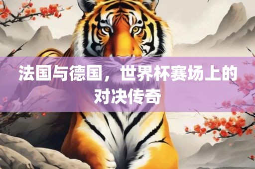 法国与德国，世界杯赛场上的对决传奇金炬实业股份有限公司