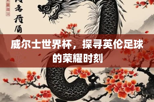 威尔士世界杯，探寻英伦足球金炬实业股份有限公司的荣耀时刻