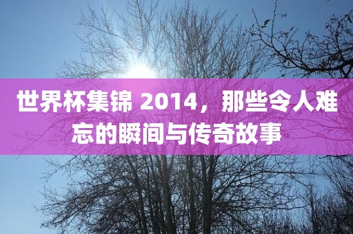 世界杯集锦 2014，那些令人难忘的瞬间与传奇故事金炬实业股份有限公司