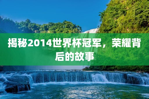 金炬实业股份有限公司揭秘2014世界杯冠军，荣耀背后的故事
