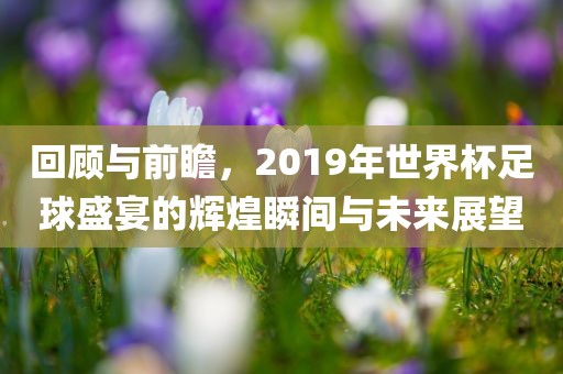 回顾与前瞻，2019年世界杯足球盛宴的辉煌瞬间与未来展望金炬实业股份有限公司