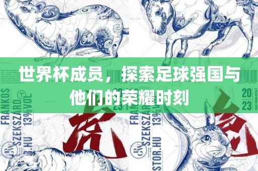世界杯成员，探索足球强国与他们的荣耀时刻金炬实业股份有限公司