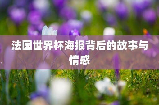 法国世界杯海报背后的故事与情感