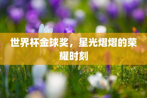 世界杯金球奖，星光熠熠的荣耀时刻