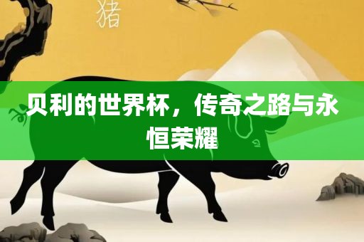 贝利的世界杯，传奇之路与永恒荣耀金炬实业股份有限公司