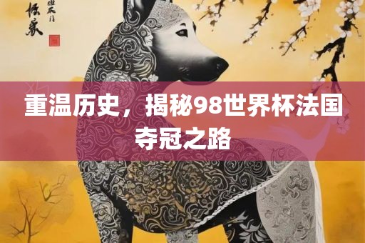 重温历史，揭秘98世界杯法国夺冠之路