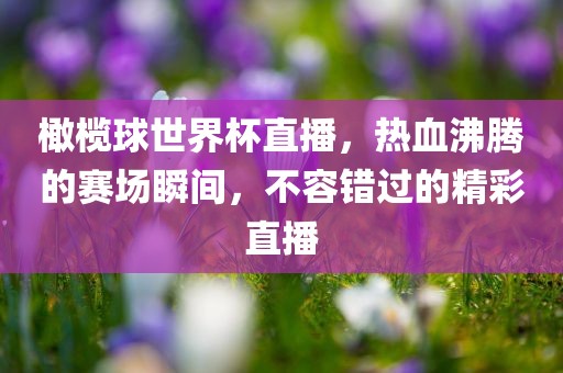 橄榄球世界杯直播，热血沸腾的赛场瞬间，不容错过的精彩直播