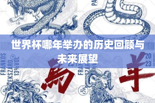 世界杯哪年举办的历史回顾与未来展望