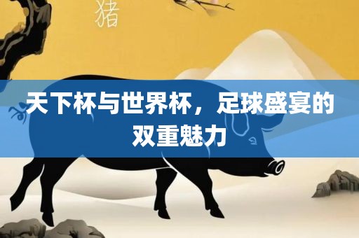 天下杯与世界杯，足球盛宴的双重魅力