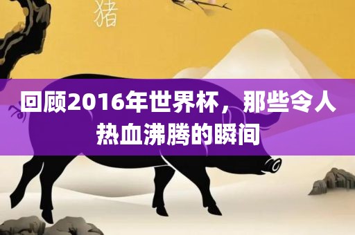 回顾2016年世界杯，那些令人热血沸腾的瞬间