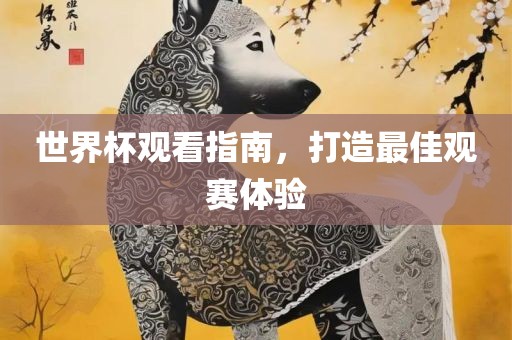 世界杯观看指南，打造最佳观赛体验