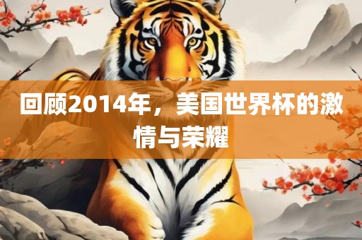 回顾2014年，美国世界杯的激情与荣耀金炬实业股份有限公司