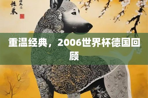 重温经典，2006世界杯德国回顾金炬实业股份有限公司
