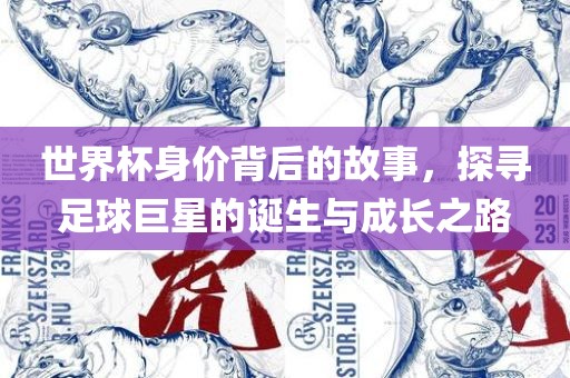 世界杯身价背后的故事，探寻足球巨星的诞生与成长之路金炬实业股份有限公司